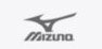 Mizuno